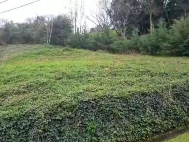 Terreno venda em Região Geográfica Imediata de Caxias do Sul, Caxias do Sul