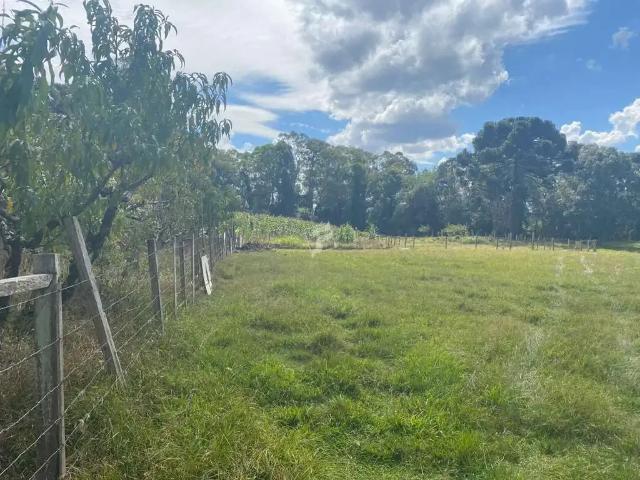 Terreno venda em Região Geográfica Imediata de Caxias do Sul, Caxias do Sul