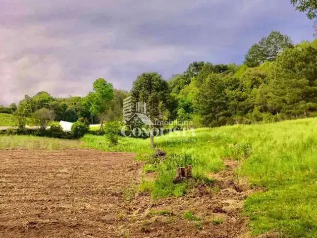 Terreno venda em Região Geográfica Imediata de Caxias do Sul, Caxias do Sul