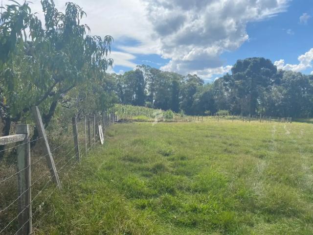Terreno venda em Região Geográfica Imediata de Caxias do Sul, Caxias do Sul