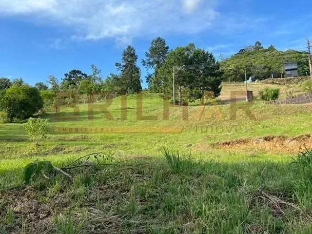 Terreno venda em Região Geográfica Imediata de Caxias do Sul, Caxias do Sul