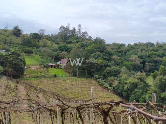 Terreno venda em Primeiro Distrito, Caxias do Sul