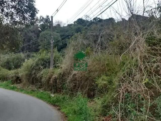 Terreno venda em Região Geográfica Imediata de Caxias do Sul, Caxias do Sul
