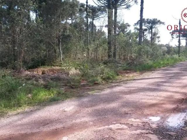 Terreno venda em Região Geográfica Imediata de Caxias do Sul, Caxias do Sul