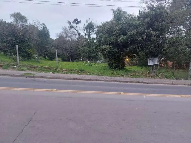 Terreno venda em Região Geográfica Imediata de Caxias do Sul, Caxias do Sul