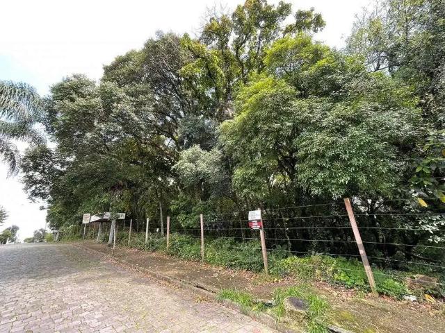 Terreno venda em Região Geográfica Imediata de Caxias do Sul, Caxias do Sul
