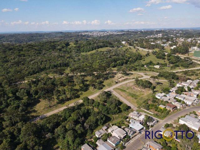 Terreno venda em Região Geográfica Imediata de Caxias do Sul, Caxias do Sul