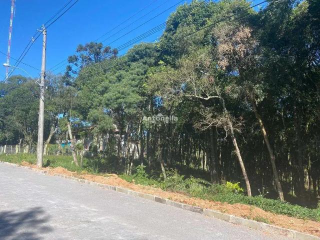 Terreno venda em Região Geográfica Imediata de Caxias do Sul, Caxias do Sul