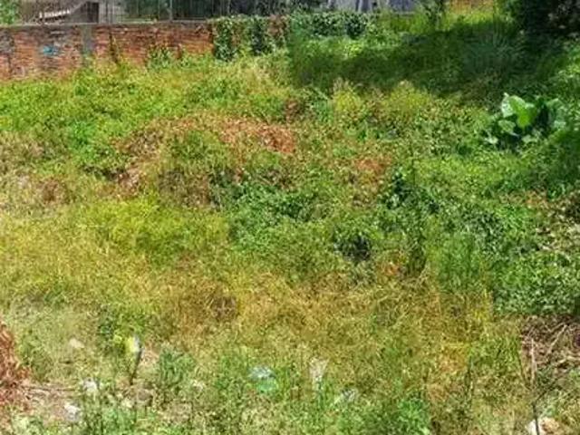 Terreno venda em Região Geográfica Imediata de Caxias do Sul, Caxias do Sul
