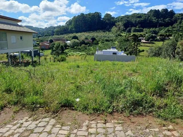 Terreno venda em Região Geográfica Imediata de Caxias do Sul, Caxias do Sul
