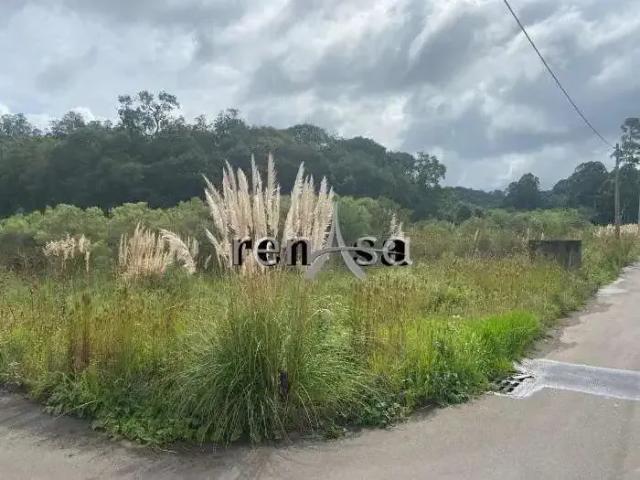 Terreno venda em Região Geográfica Imediata de Caxias do Sul, Caxias do Sul