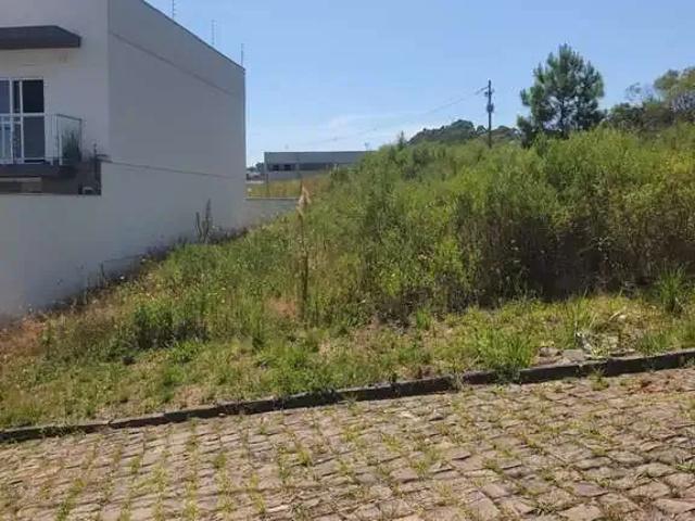 Terreno venda em Região Geográfica Imediata de Caxias do Sul, Caxias do Sul