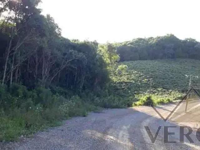 Terreno venda em Região Geográfica Imediata de Caxias do Sul, Caxias do Sul
