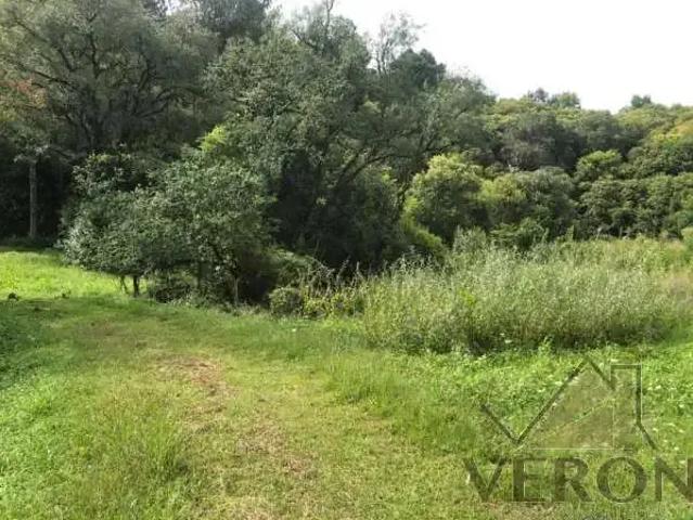Terreno venda em Região Geográfica Imediata de Caxias do Sul, Caxias do Sul