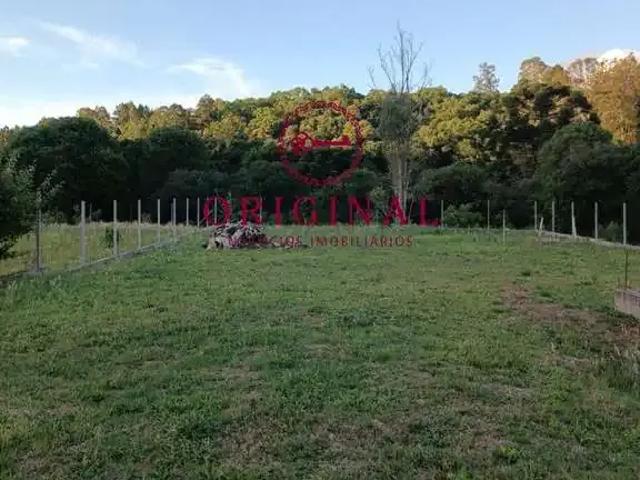 Terreno venda em Região Geográfica Imediata de Caxias do Sul, Caxias do Sul