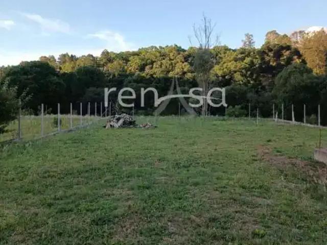 Terreno venda em Região Geográfica Imediata de Caxias do Sul, Caxias do Sul