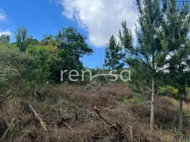 Terreno venda em Região Geográfica Imediata de Caxias do Sul, Caxias do Sul