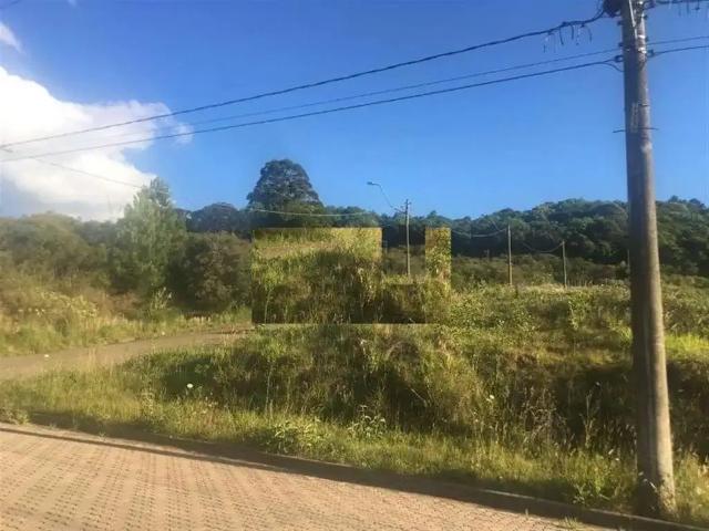 Terreno venda em Região Geográfica Imediata de Caxias do Sul, Caxias do Sul