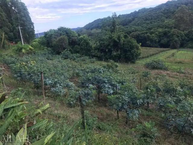 Terreno venda em Região Geográfica Imediata de Caxias do Sul, Caxias do Sul