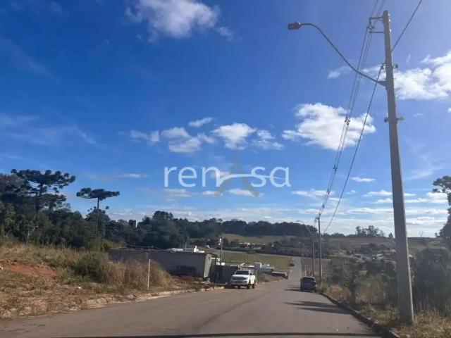 Terreno venda em Região Geográfica Imediata de Caxias do Sul, Caxias do Sul