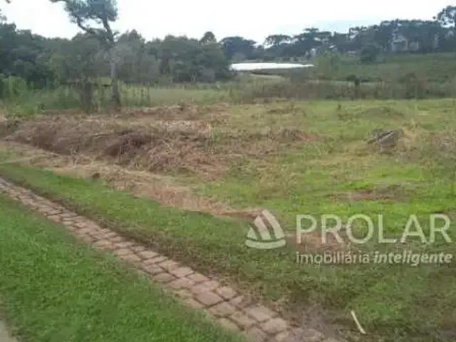 Terreno venda em Região Geográfica Imediata de Caxias do Sul, Caxias do Sul