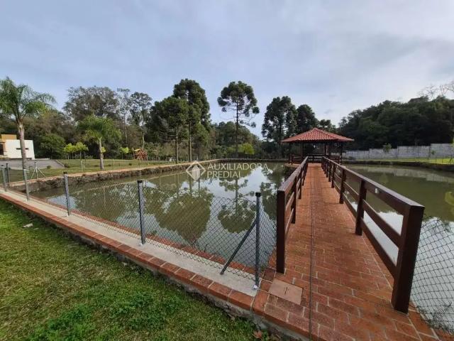 Terreno venda em Região Geográfica Imediata de Caxias do Sul, Caxias do Sul
