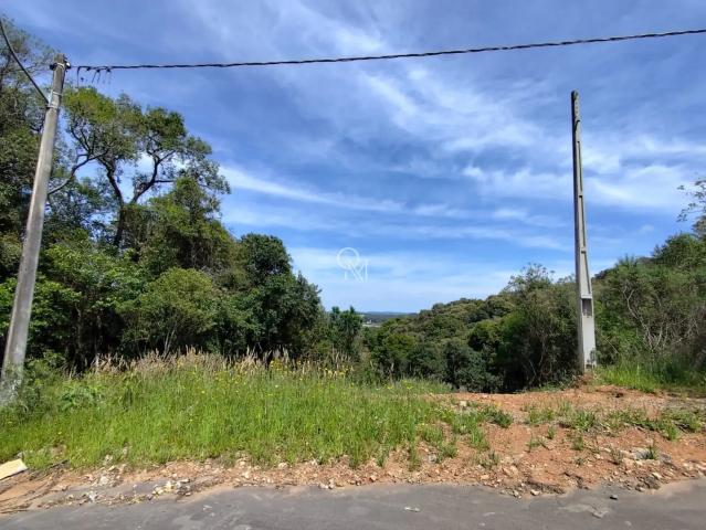 Terreno venda em Região Geográfica Imediata de Caxias do Sul, Caxias do Sul