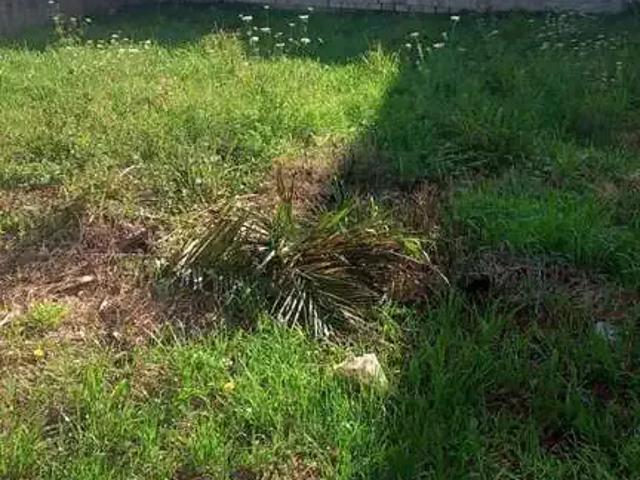 Terreno venda em Região Geográfica Imediata de Caxias do Sul, Caxias do Sul
