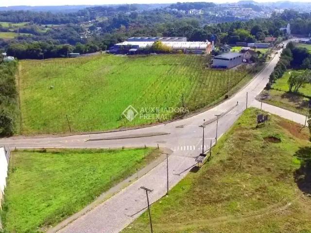 Terreno venda em Região Geográfica Imediata de Caxias do Sul, Caxias do Sul