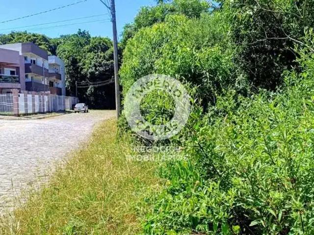 Terreno venda em Região Geográfica Imediata de Caxias do Sul, Caxias do Sul