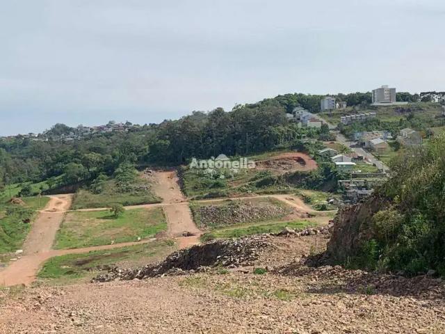 Terreno venda em Região Geográfica Imediata de Caxias do Sul, Caxias do Sul