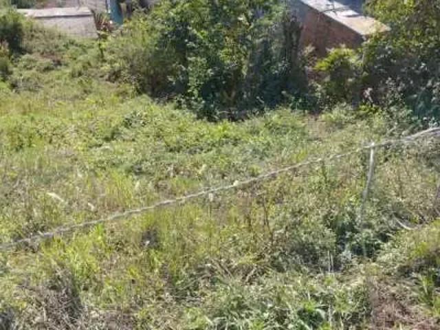 Terreno venda em Nossa Senhora da Maternidade, Caxias do Sul