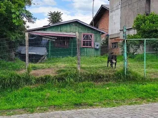 Terreno venda em Região Geográfica Imediata de Caxias do Sul, Caxias do Sul