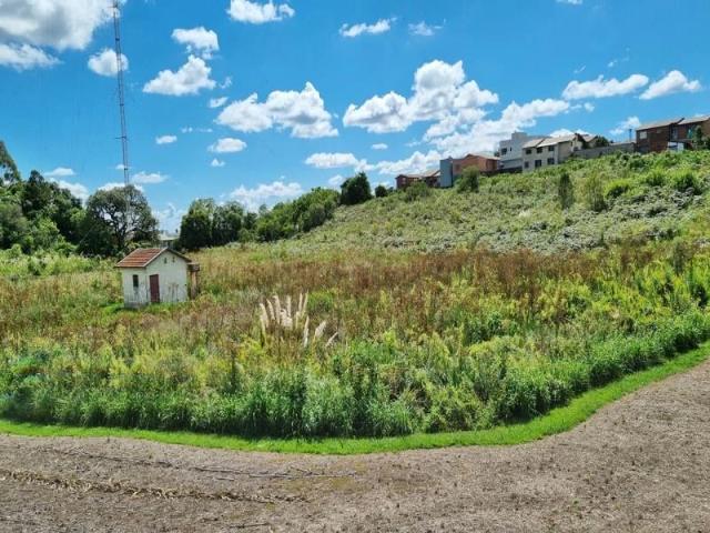 Terreno venda em Primeiro Distrito, Caxias do Sul