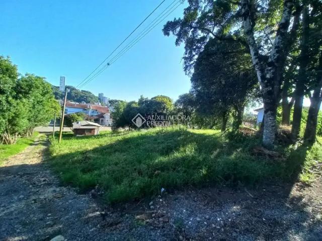 Terreno venda em Região Geográfica Imediata de Caxias do Sul, Caxias do Sul