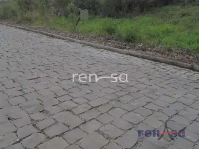 Terreno venda em Região Geográfica Imediata de Caxias do Sul, Flores da Cunha
