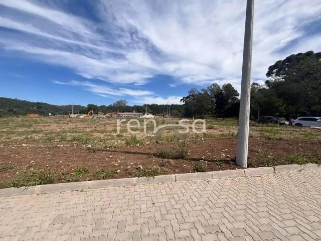 Terreno venda em Região Geográfica Imediata de Caxias do Sul, Caxias do Sul