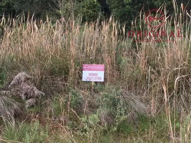 Terreno venda em Região Geográfica Imediata de Caxias do Sul, Caxias do Sul