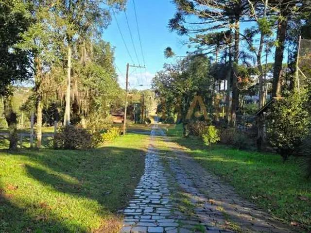 Terreno venda em Região Geográfica Imediata de Caxias do Sul, Caxias do Sul