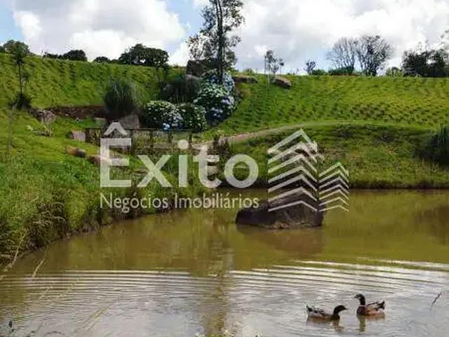 Terreno venda em Região Geográfica Imediata de Caxias do Sul, Caxias do Sul