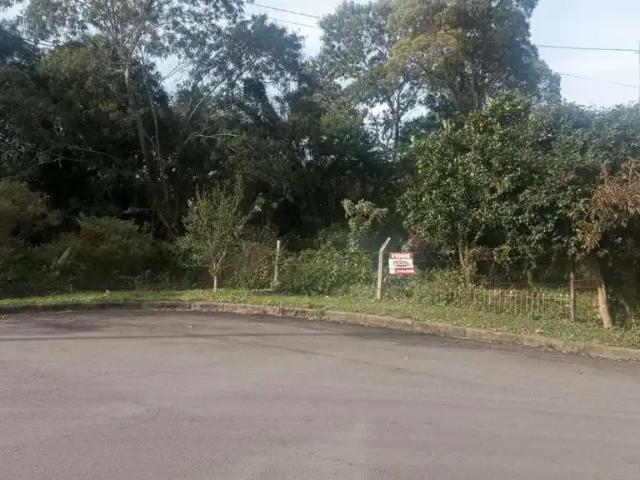 Terreno venda em Região Geográfica Imediata de Caxias do Sul, Caxias do Sul