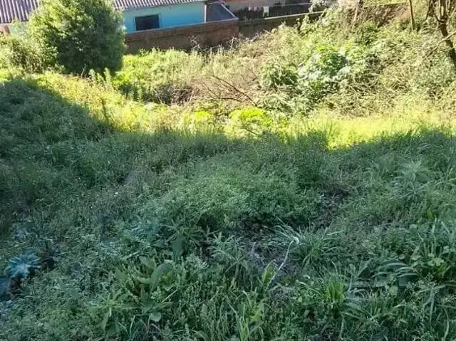 Terreno venda em Região Geográfica Imediata de Caxias do Sul, Caxias do Sul