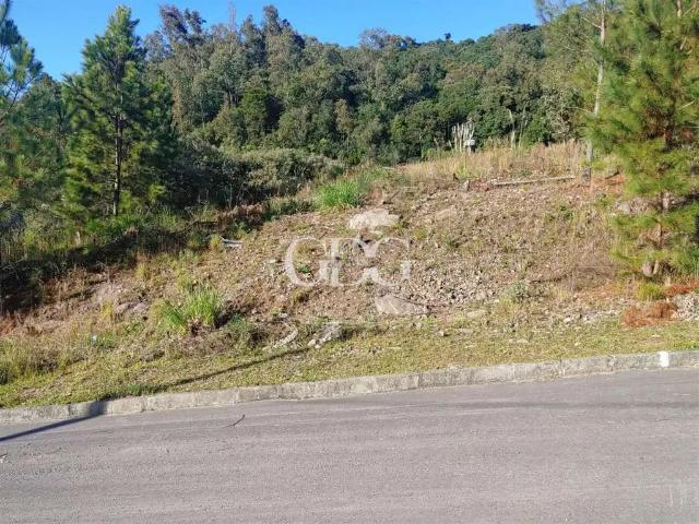 Terreno venda em Região Geográfica Imediata de Caxias do Sul, Caxias do Sul