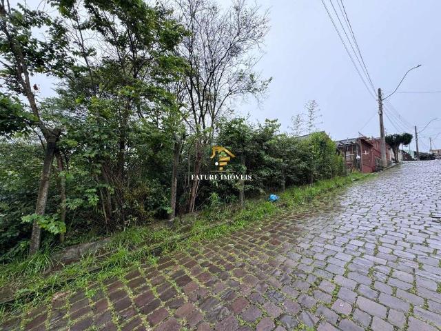 Terreno venda em Região Geográfica Imediata de Caxias do Sul, Caxias do Sul