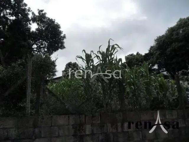Terreno venda em Região Geográfica Imediata de Caxias do Sul, Caxias do Sul
