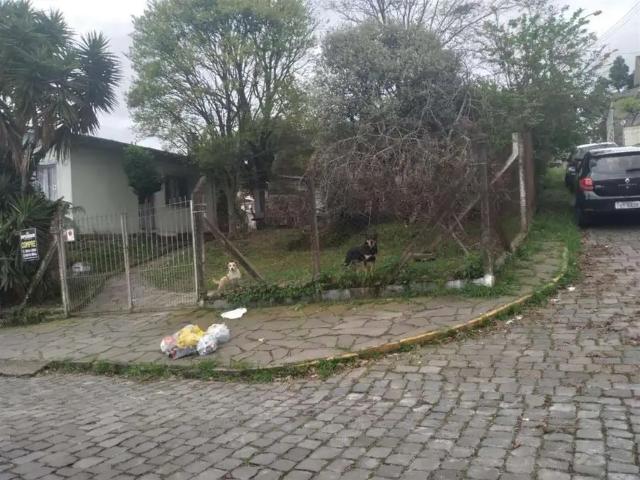 Terreno venda em Região Geográfica Imediata de Caxias do Sul, Caxias do Sul