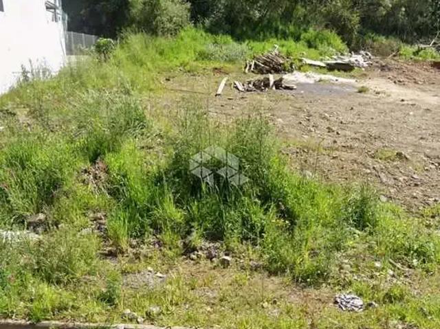 Terreno venda em Região Geográfica Imediata de Caxias do Sul, Caxias do Sul