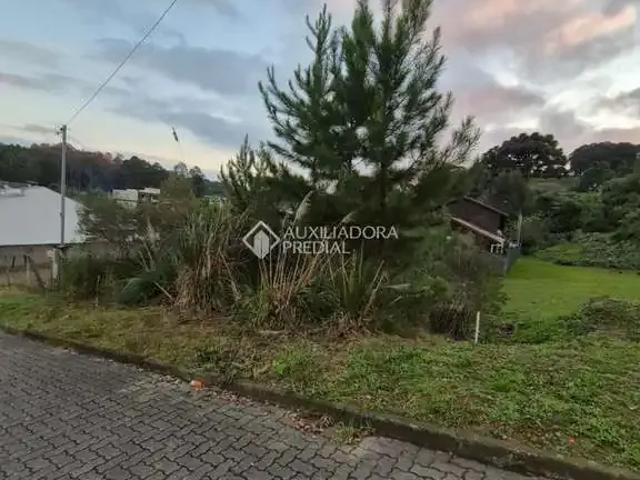 Terreno venda em Região Geográfica Imediata de Caxias do Sul, Caxias do Sul