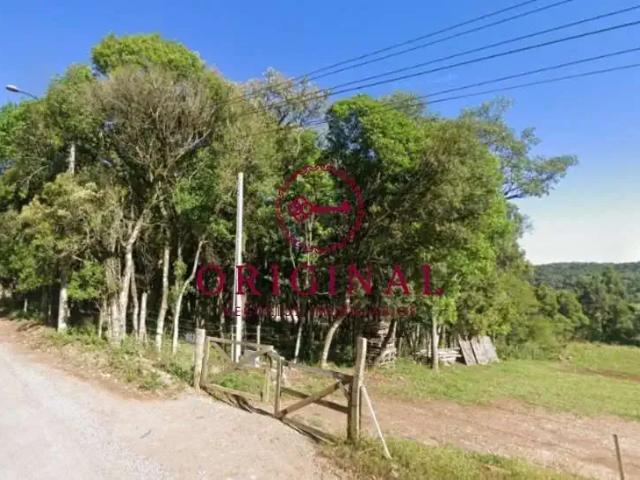 Terreno venda em Região Geográfica Imediata de Caxias do Sul, Caxias do Sul