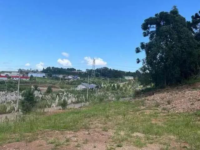 Terreno venda em Caxias do Sul, Região Geográfica Intermediária de Caxias do Sul